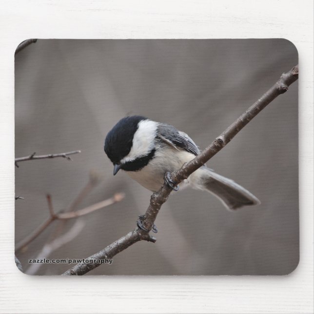 Black Capped Chickadee Mouse Mat (Front)