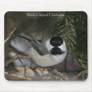 Black Capped Chickadee Mousepad