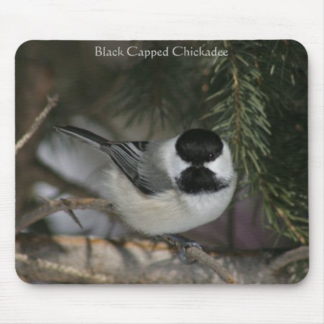 Black Capped Chickadee Mousepad (Front)