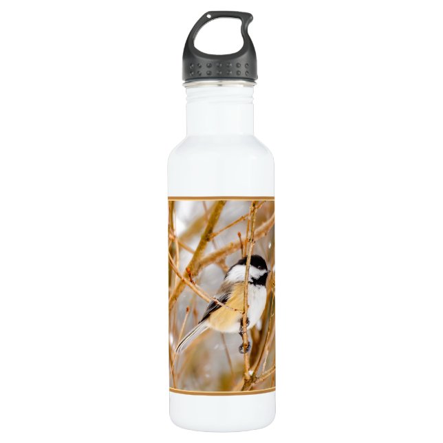 Black-Capped Chickadee - Original Photograph 710 Ml Water Bottle (Front)