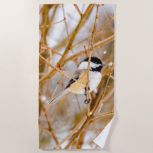 Black-Capped Chickadee - Original Photograph Beach Towel