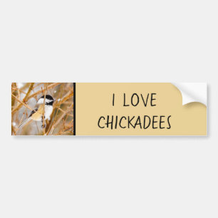 Black-Capped Chickadee - Original Photograph Bumper Sticker