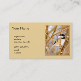 Black-Capped Chickadee - Original Photograph Business Card