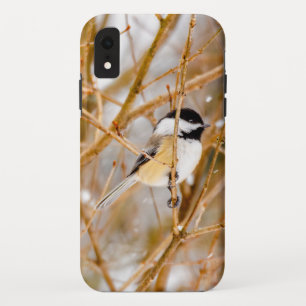 Black-Capped Chickadee - Original Photograph iPhone XR Case