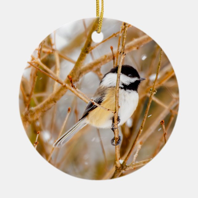 Black-Capped Chickadee - Original Photograph Ceramic Tree Decoration (Front)