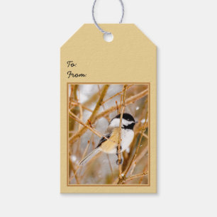 Black-Capped Chickadee - Original Photograph Gift Tags