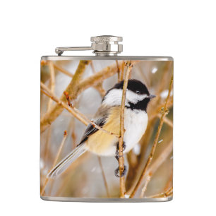 Black-Capped Chickadee - Original Photograph Hip Flask