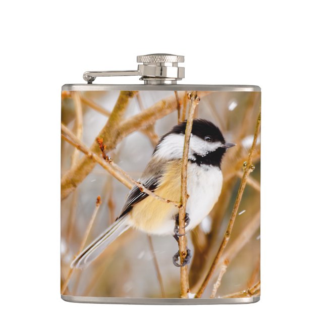 Black-Capped Chickadee - Original Photograph Hip Flask (Front)