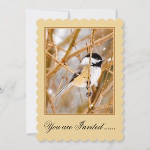 Black-Capped Chickadee - Original Photograph Invitation