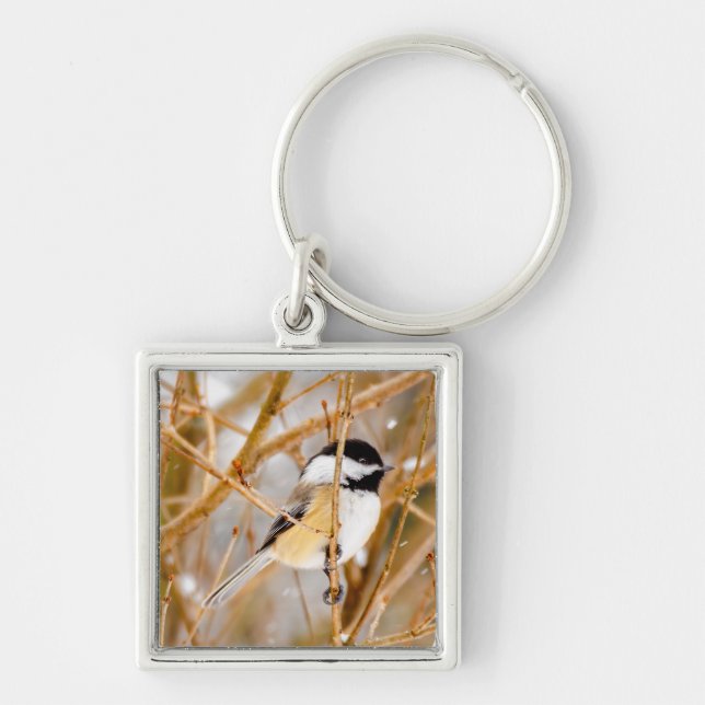 Black-Capped Chickadee - Original Photograph Key Ring (Front)