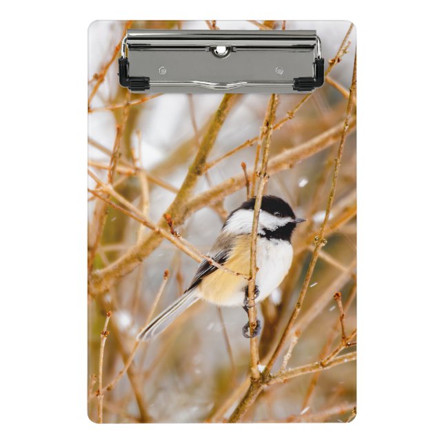 Black-Capped Chickadee - Original Photograph Mini Clipboard (Front)