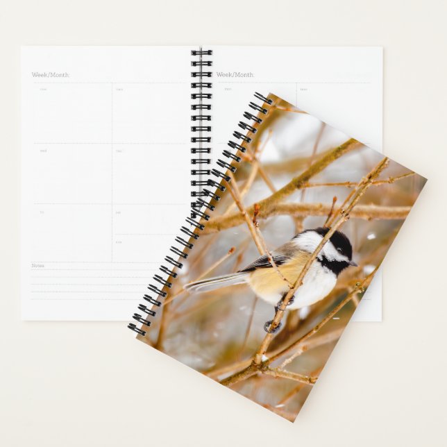 Black-Capped Chickadee - Original Photograph Planner (Display)