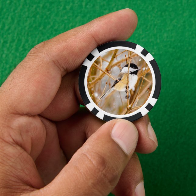 Black-Capped Chickadee - Original Photograph Poker Chips (Hand)