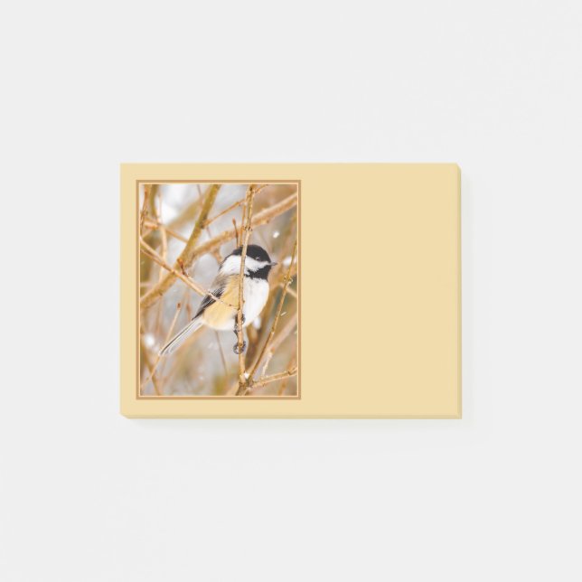 Black-Capped Chickadee - Original Photograph Post-it Notes (Front)