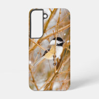 Black-Capped Chickadee - Original Photograph