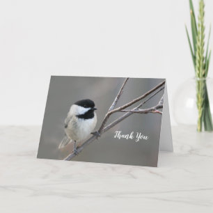 Black Capped Chickadee Photo Thank You Card