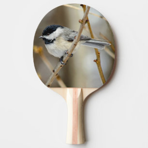 Black Capped Chickadee Ping Pong Paddle