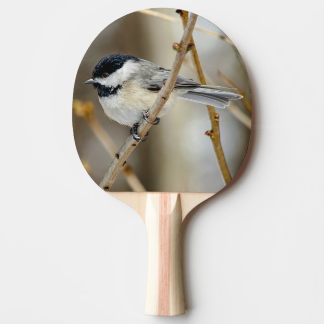 Black Capped Chickadee Ping Pong Paddle (Front)