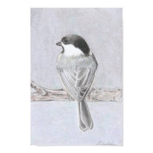 Black-Capped Chickadee Poster