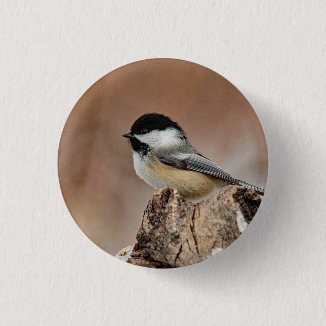 Black Capped Chickadee Snow Photo 3 Cm Round Badge (Front)