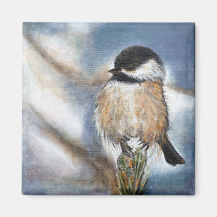 Black Capped Chickadee Song Bird Magnet