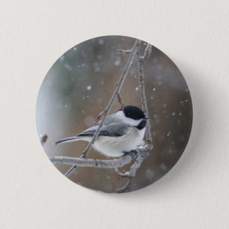 Black-capped Chickadee - Songbird 6 Cm Round Badge
