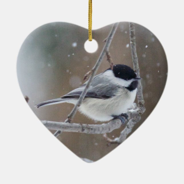 Black-capped Chickadee - Songbird Ceramic Tree Decoration (Back)