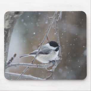 Black-capped Chickadee - Songbird Mouse Mat