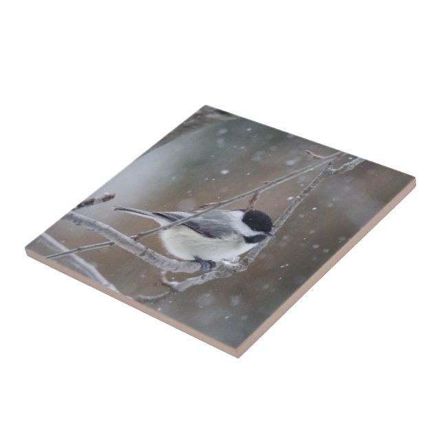 Black-capped Chickadee - Songbird Tile (Side)