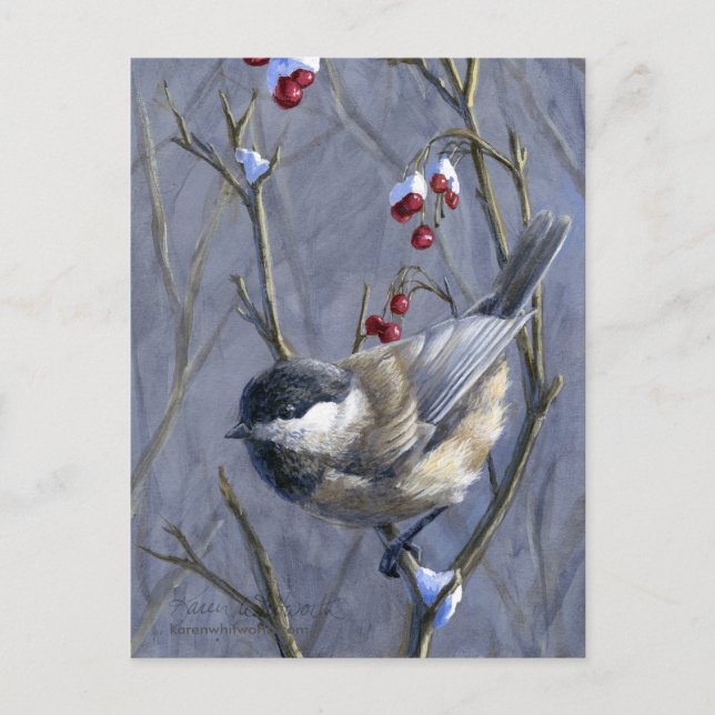 Black Capped Chickadee Winter Red Berries and Snow Postcard (Front)