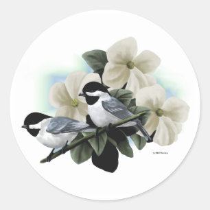 Black Capped Chickadees Classic Round Sticker