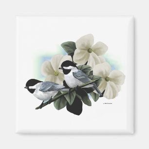 Black Capped Chickadees Magnet