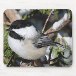 Black-capped Cickadee Mouse Mat