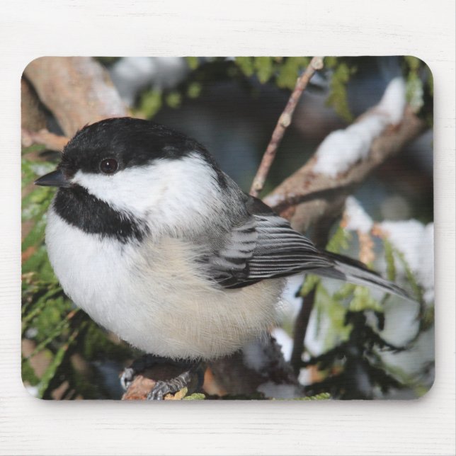 Black-capped Cickadee Mouse Mat (Front)