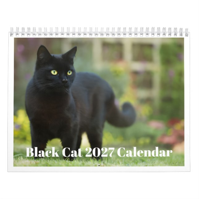 Black Cat 2027 Calendar (Cover)