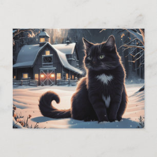 Black Cat 206 Series Postcard