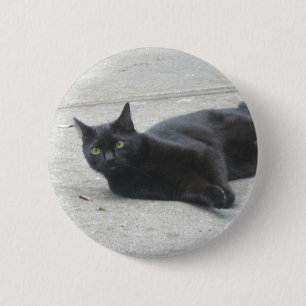 Black Cat 6 Cm Round Badge