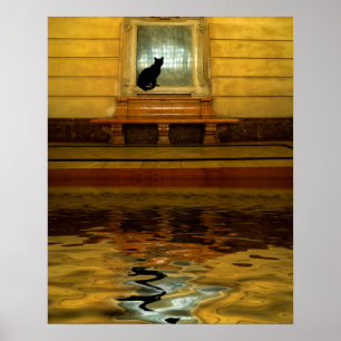 Black Cat above Water Poster