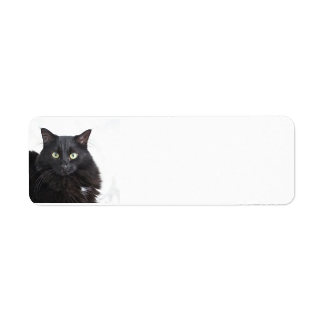 Black Cat Address labels (Front)