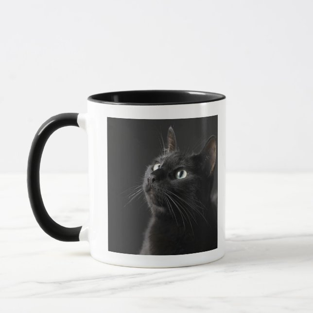 Black cat against black background, close-up mug (Left)
