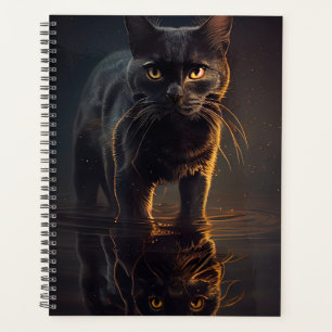 Black cat Agendas
