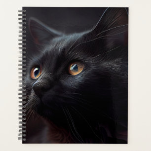 Black cat Agendas