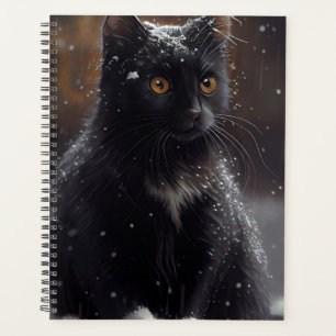 Black cat Agendas