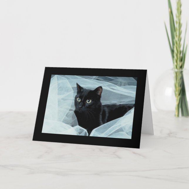 Black Cat All Occasion Card (Front)