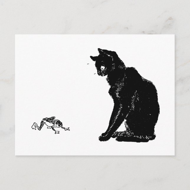 Black Cat and Frog, Alexandre Steinlen Postcard (Front)
