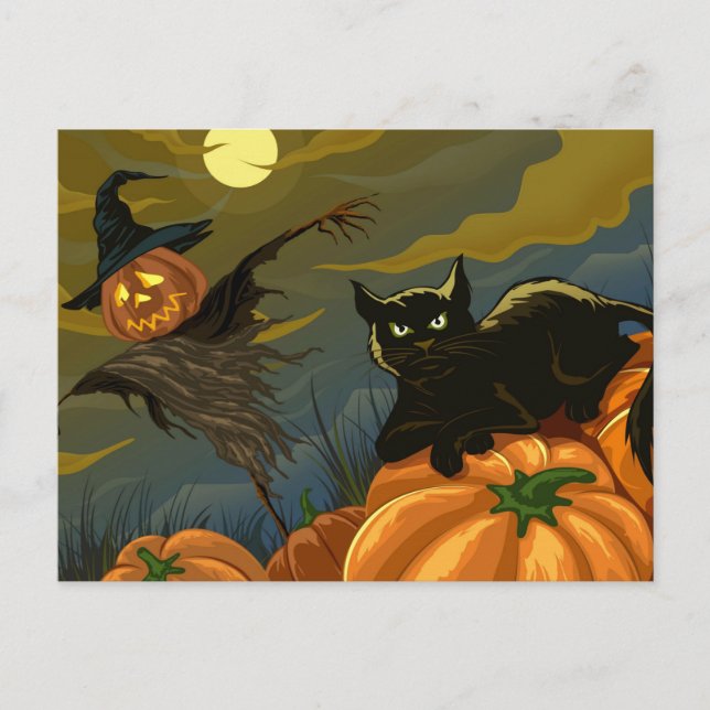 Black cat and pumpkin scarecrow postcard (Front)