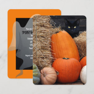 Black Cat and Pumpkins Halloween party Invitation