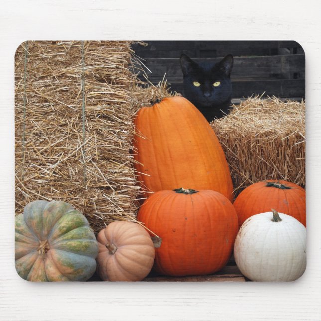 Black Cat and pumpkins Mouse Mat (Front)