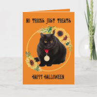Black Cat And Sunflowers, 5" x 7" Folded Card
