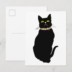 Black cat, animal illustration postcard